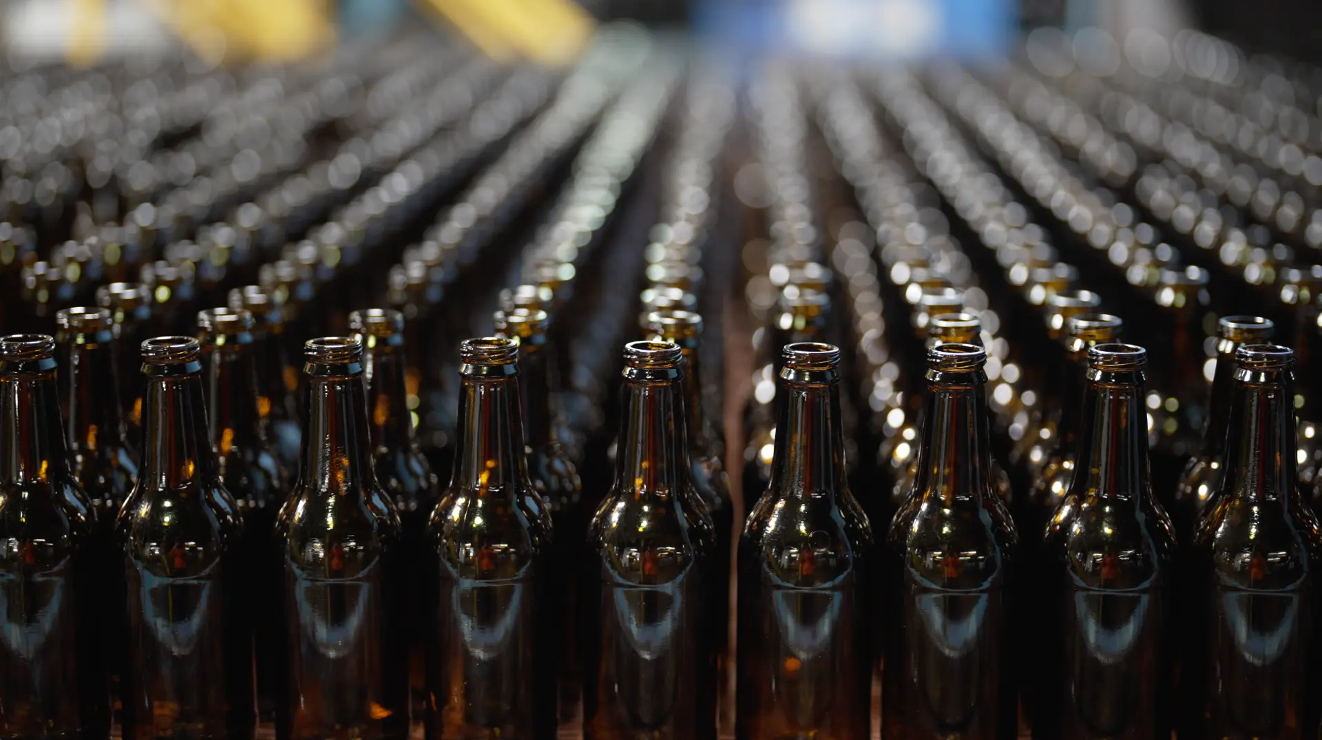 A lineup of premium glass bottles lit against a dark background